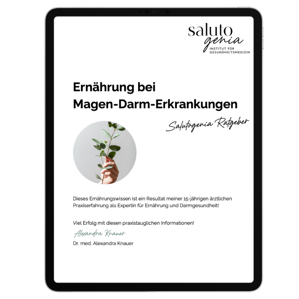 Vorschau Grafik Cover Salutogenia Ratgeber