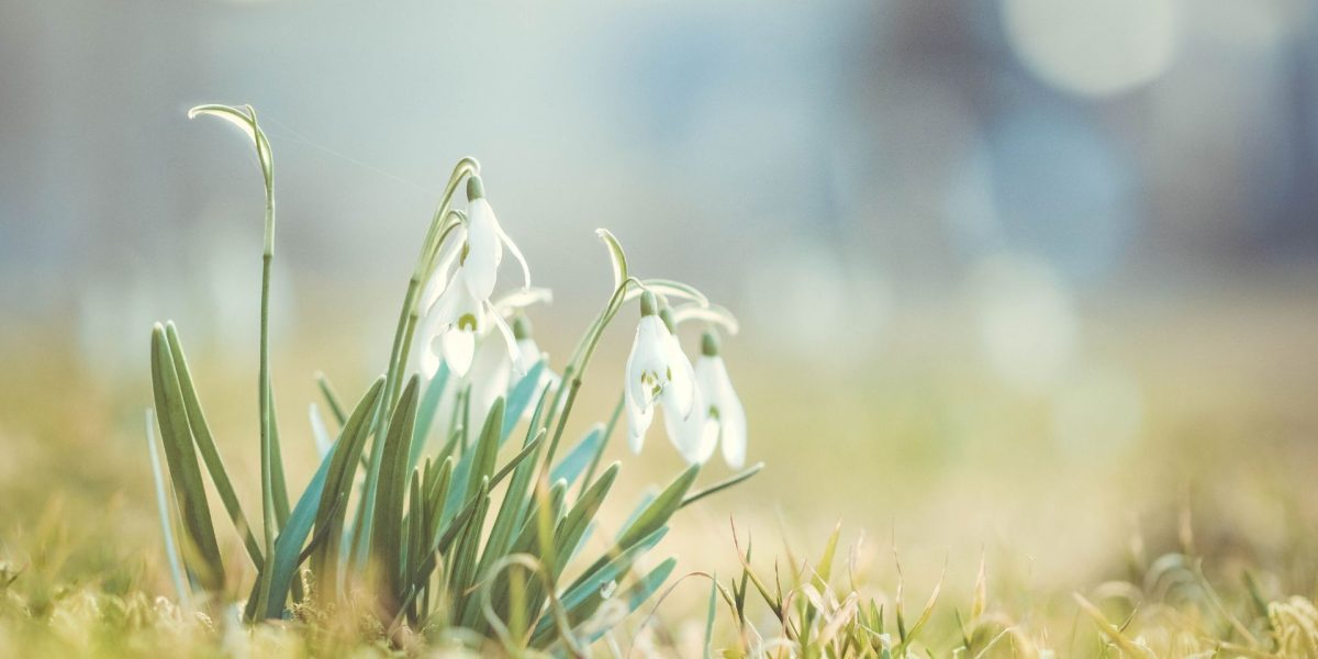 fruehling-entlasten-entgiften